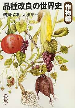 81NPrOi5+sL._AC_UF350,